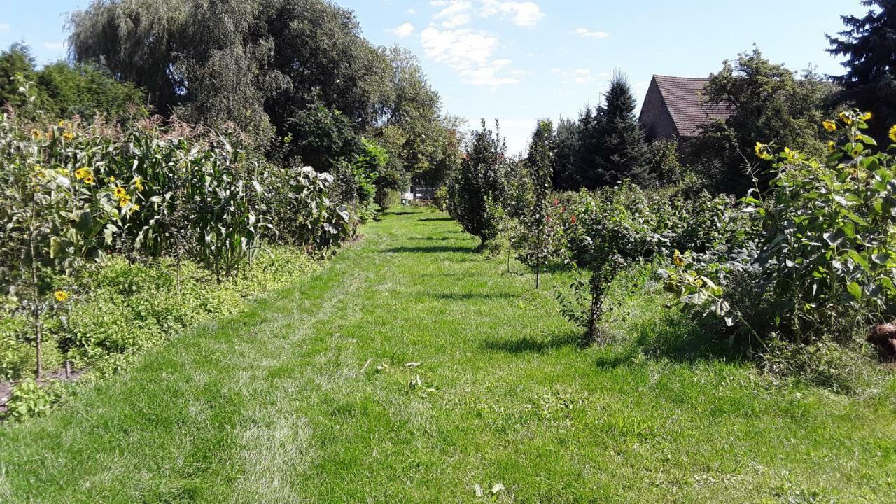 Gaestezimmer Sommer Locktow Екстер'єр фото